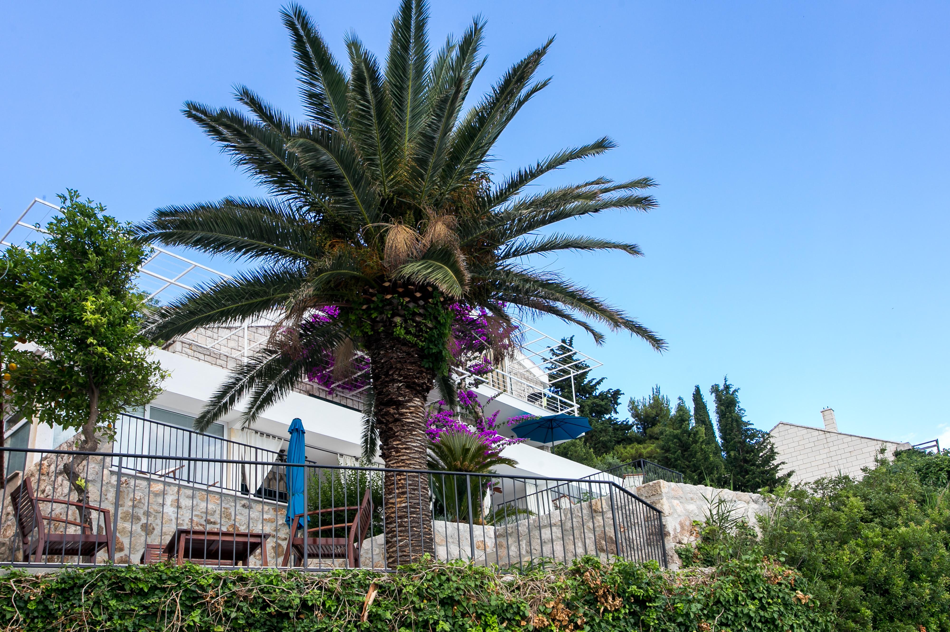 Apartments Villa Mirjana مْليني المظهر الخارجي الصورة